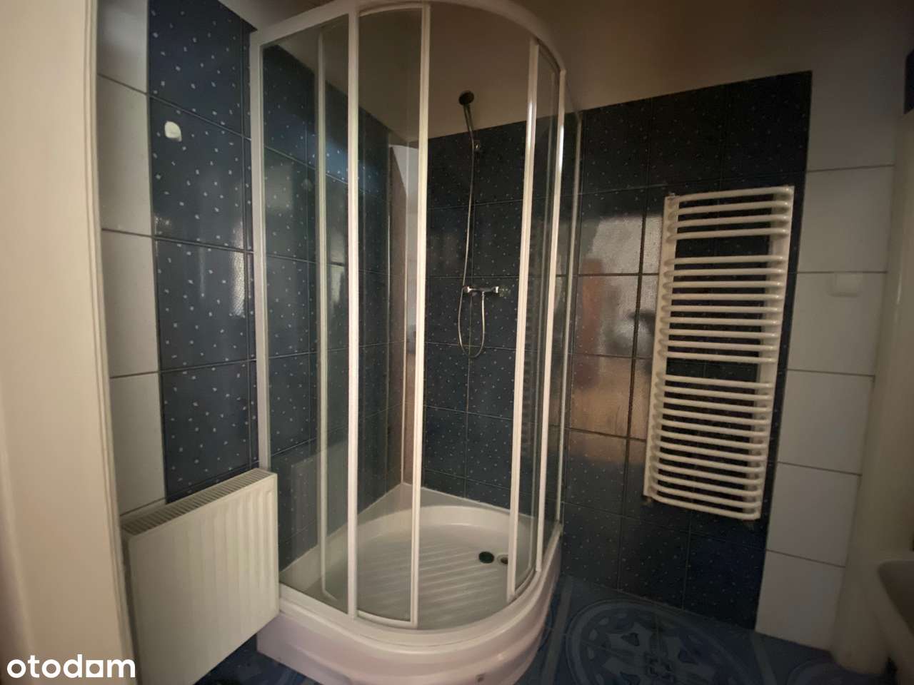 4 niezależne lokale nieopodal lasu i jeziora-9