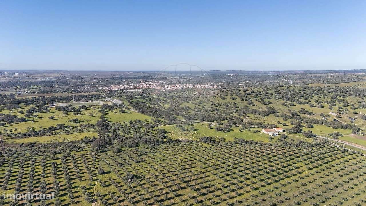 Herdade  para venda - Grande imagem: 3/32