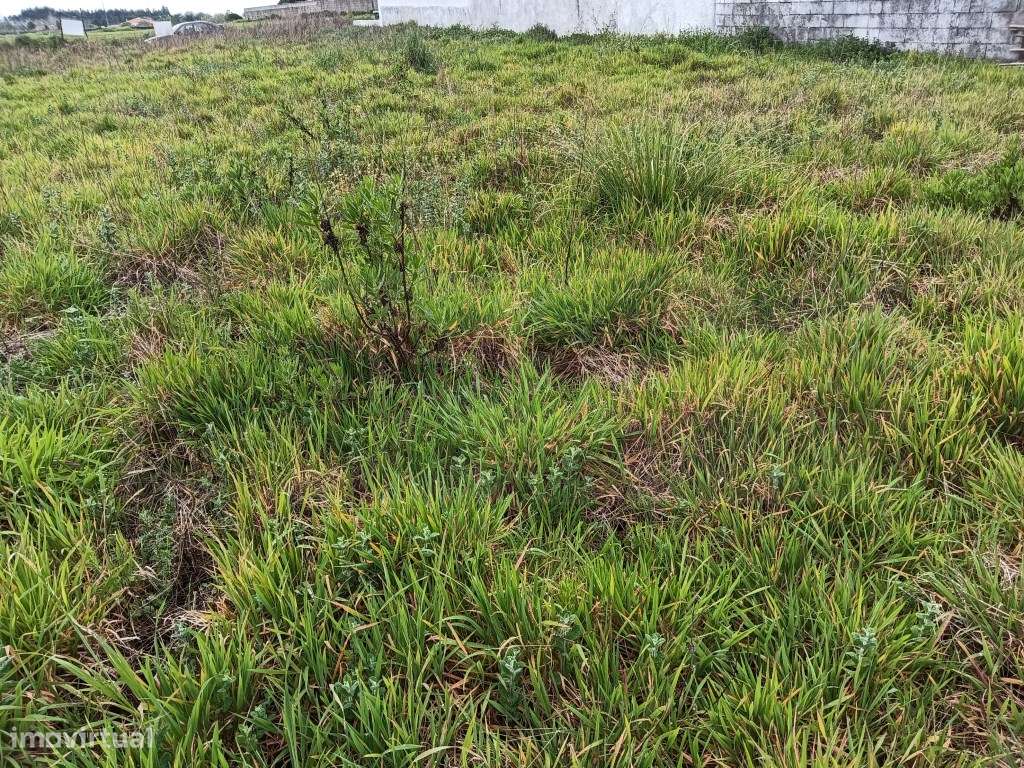 Terreno para construção - Moitinhos - Ílhavo - Grande imagem: 5/7