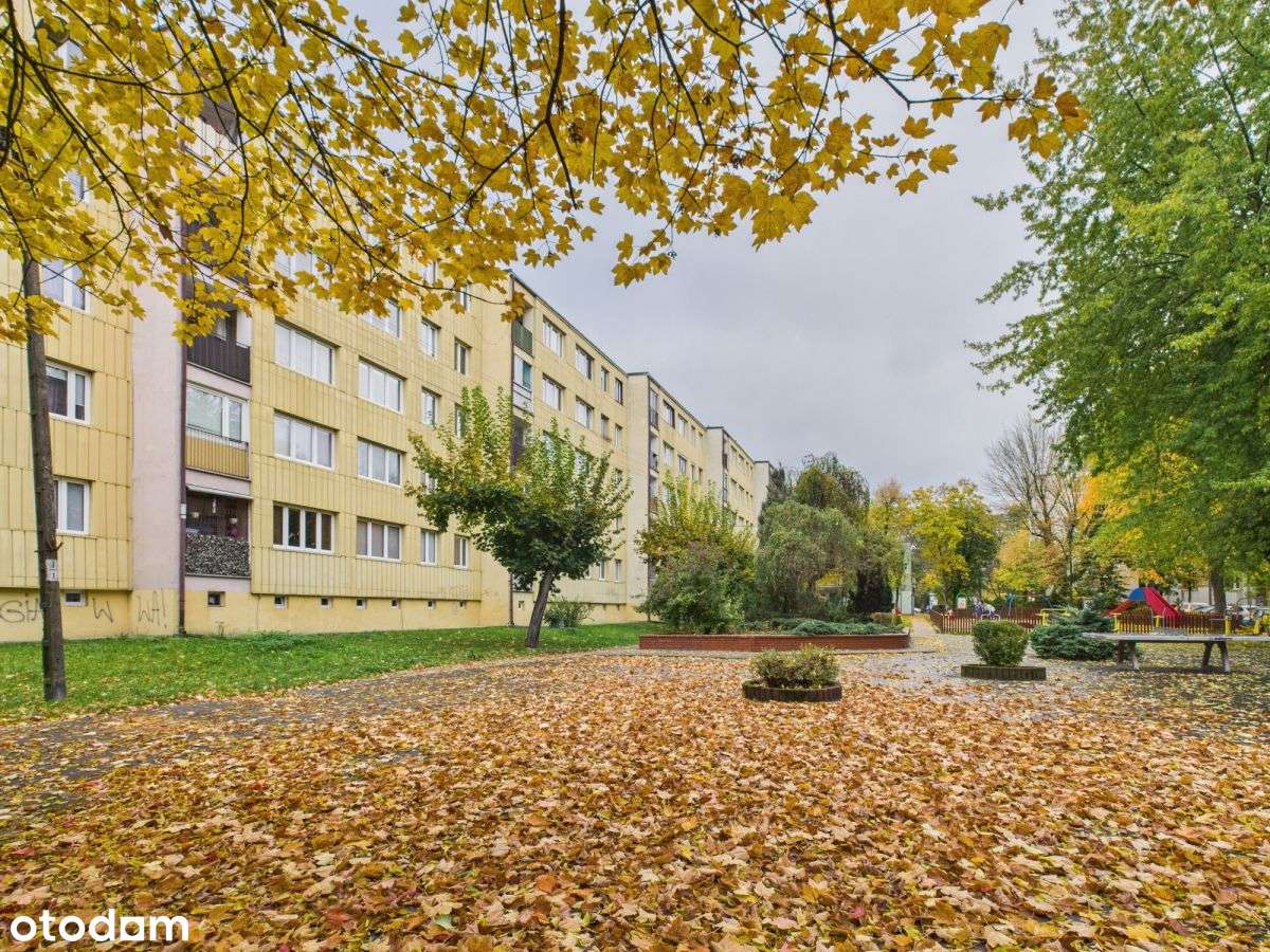 Dwupokojowe mieszkanie w zielonym Milanówku-18