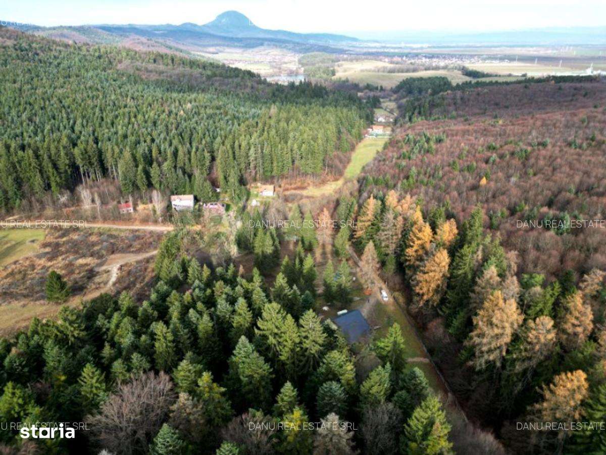 Teren intravilan2000mp în Vulcan BV–Oază de liniște -pădure si lacuri-4