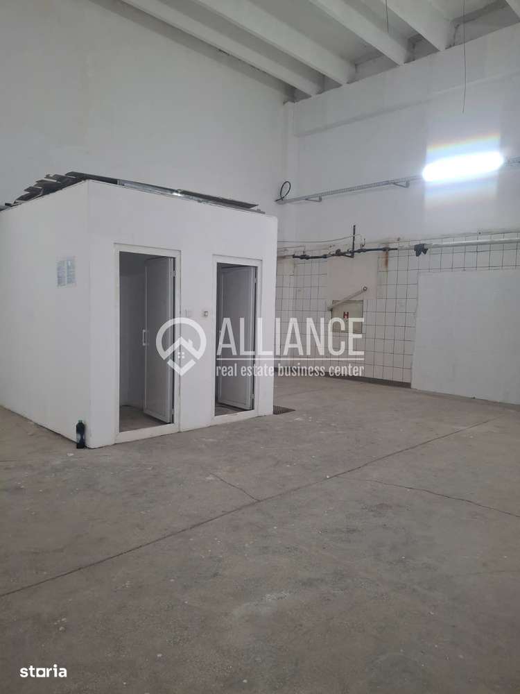 ZONA INDUSTRIALA (COD04)-Hala 270 mp ideal service auto - Imagine principală: 4/8