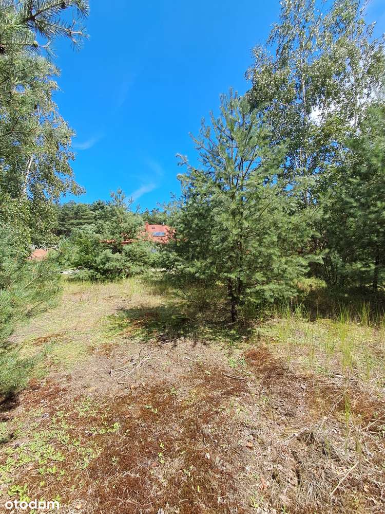 Działka budowlana o powierzchni 1686 m2, Prażuchy Nowe-4