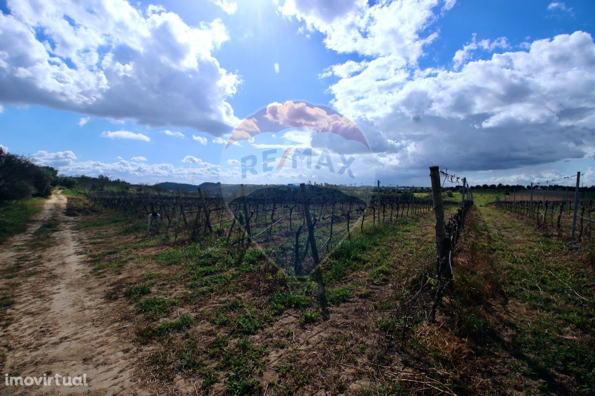 Terreno  para venda