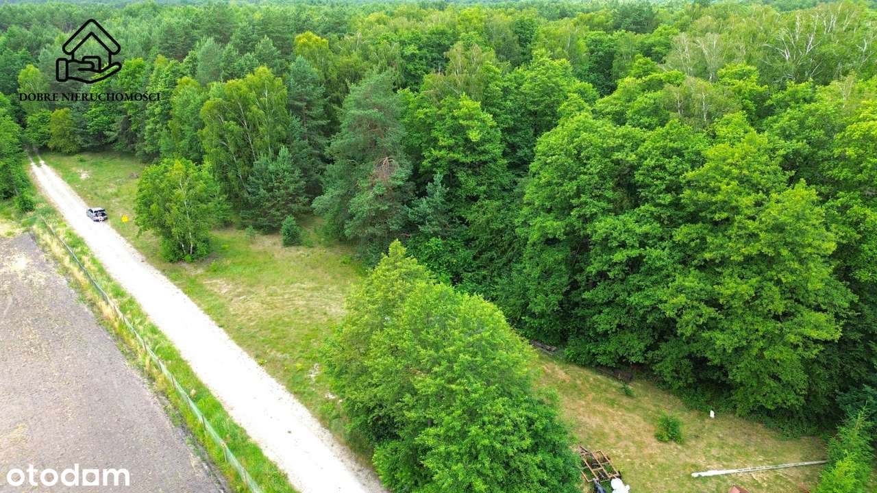 Wola Uhruska 6000 m2 - Zabudowa Jednorodzinna - Pełny obrazek: 4/6