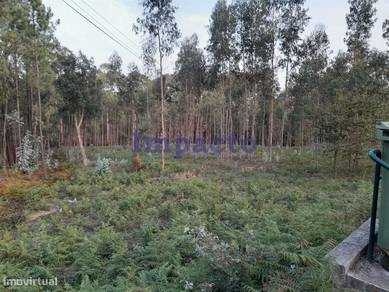 Terreno em Madail, Oliveira de Azeméis - Grande imagem: 4/8