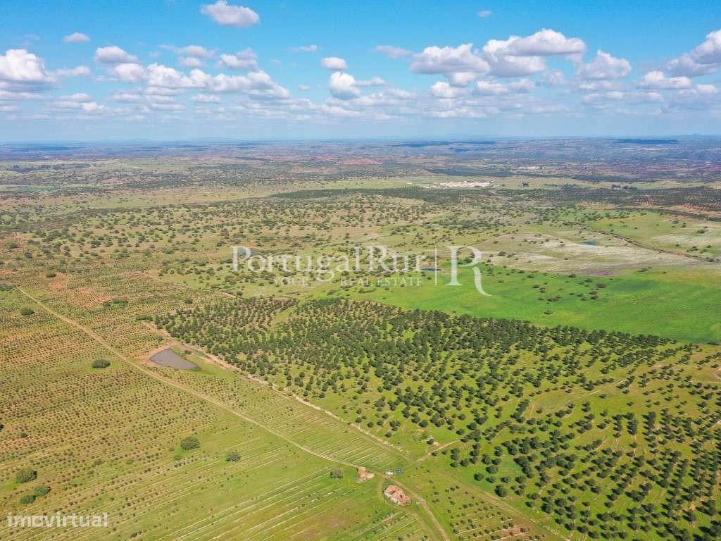 Herdades de Caça com 1300 Hectares, junto do rio Guadiana-28