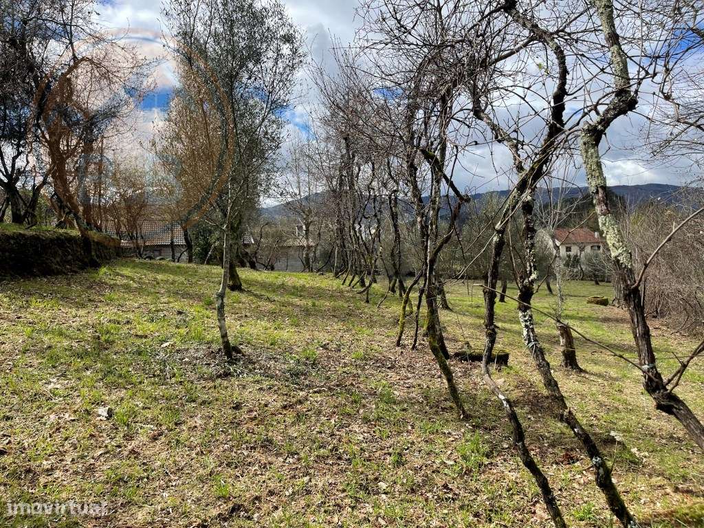 Moradia T4 em Chacim, Cabeceiras de Basto-36