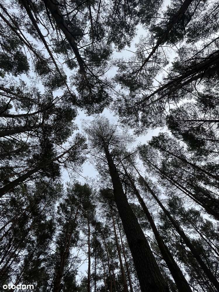 Działka budowlana 1488m2 Otwock Wólka Mlądzka