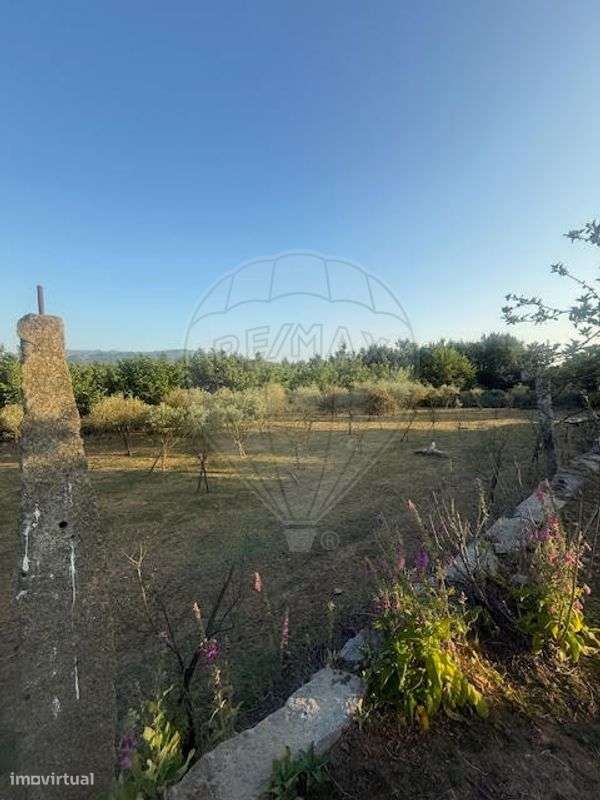 Terreno  para venda - Grande imagem: 4/8