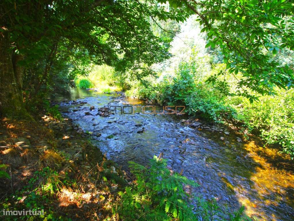 Quinta junto ao Rio - Castelo Paiva-32
