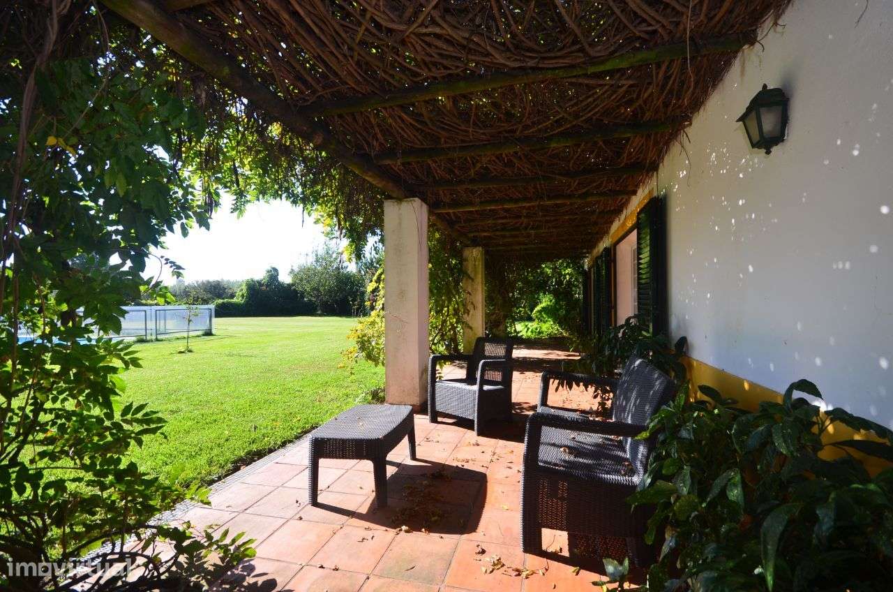 Quinta Olival das Moitas - Benfica do Ribatejo - Grande imagem: 4/20