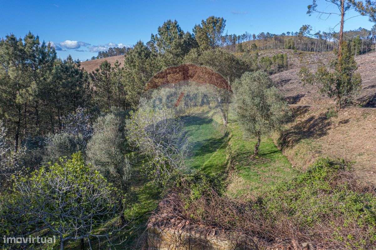 Terreno  para venda - Grande imagem: 5/14