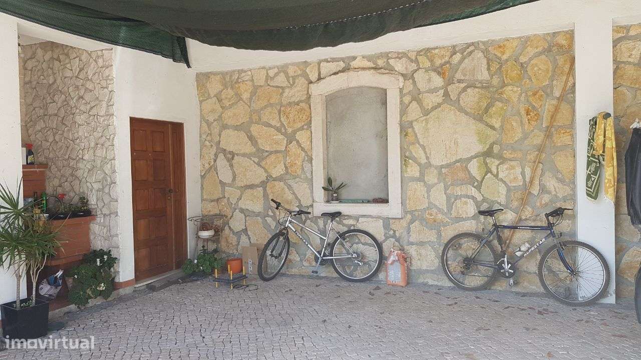 Quintinha com Mata secular-11