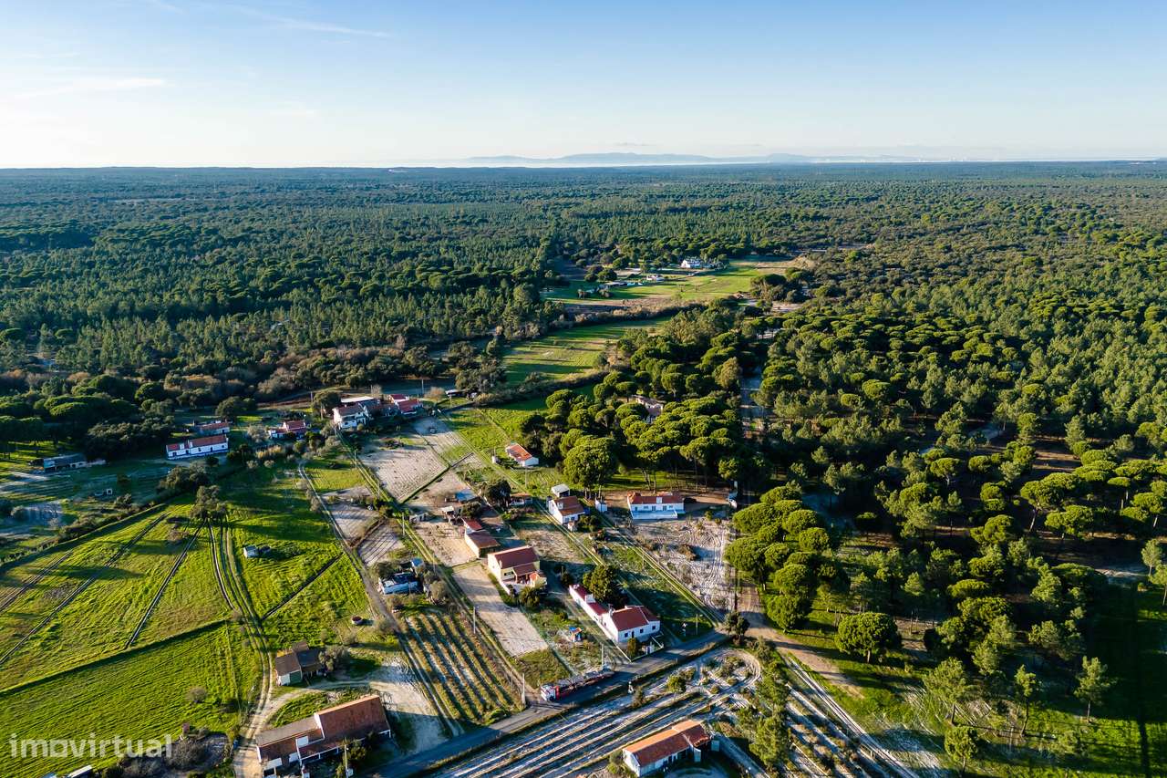 Moradia T3 | Terreno 1760 m2 | 20 min das praias da costa alentejana - Grande imagem: 5/32