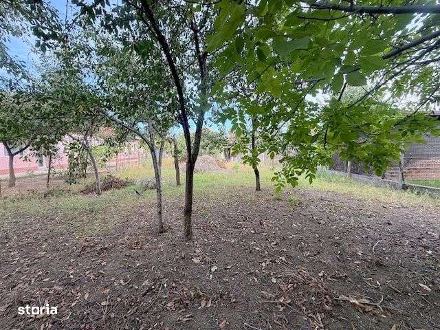 Casă individuală de vânzare, Mircea cel Bătrân, Timișoara - Imagine principală: 2/14