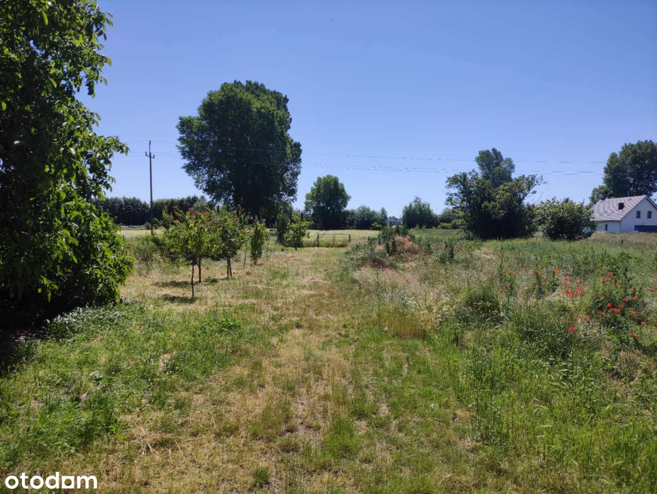 Działka inwestycyjna wraz z domem - bardzo dobra lokalizacja! - Pełny obrazek: 5/20