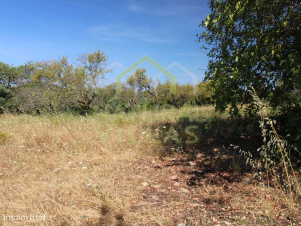 Ruína com terreno e Parcial Vista Mar, Estoi - Grande imagem: 5/6
