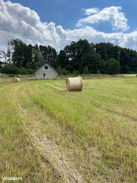 Działka budowlana pod Głogowem Kurowice Modła-8