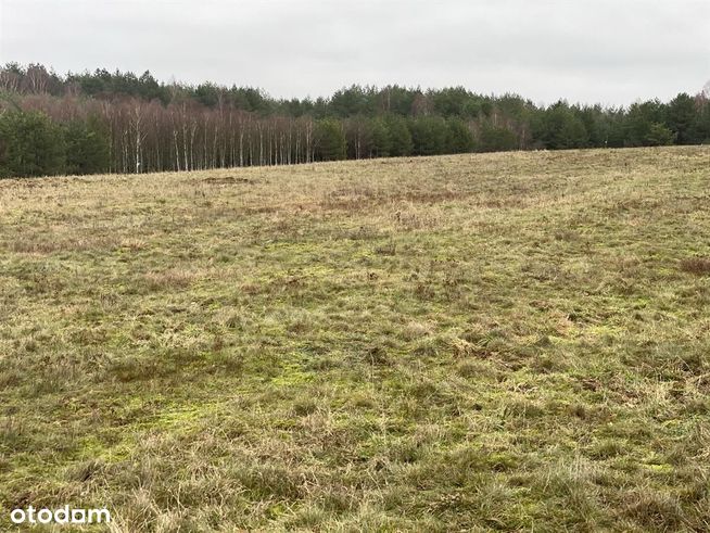 Dołgie, działka budowlana 830 m2, cicha okolica-15