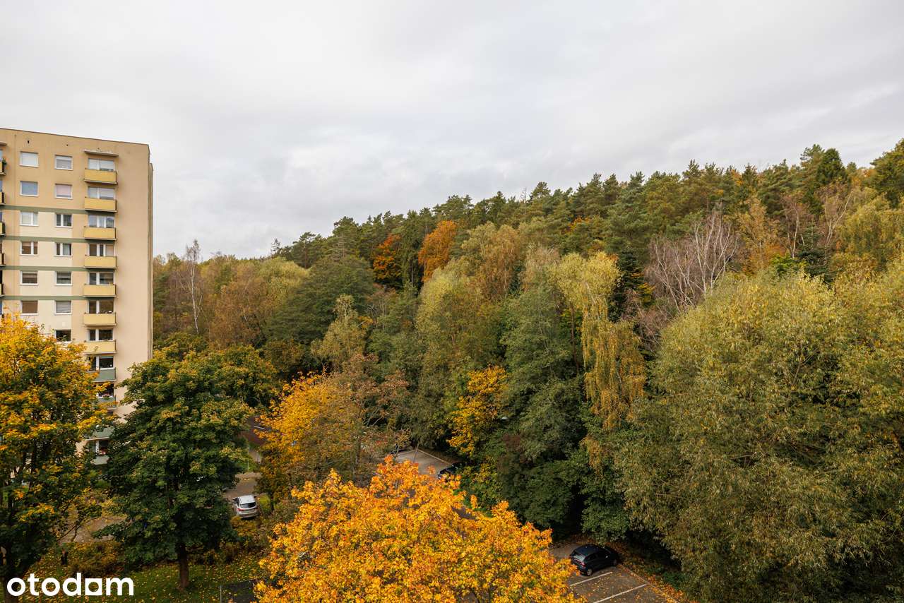Pięknie wykończone mieszkanie 4-pokojowe z widokiem na las-18