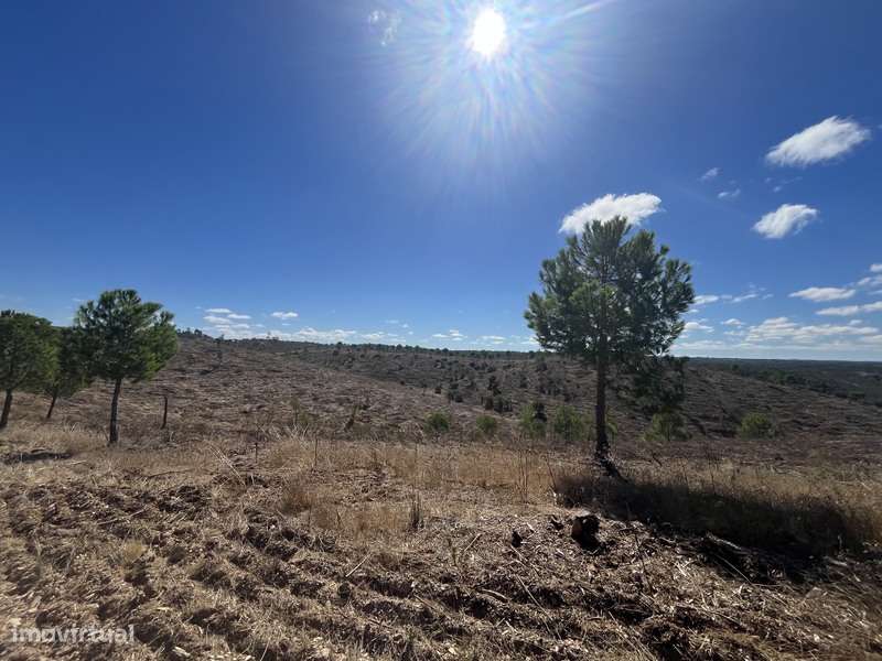 Herdade com 48ha de Natureza c/ Ruína de 53 m² – Ideal Projetos Rurais-7