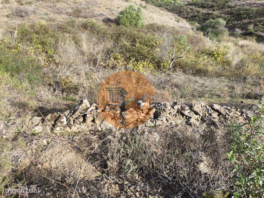 TERRENO COM 21.000 M2 - COM POÇO - FIGUEIRAIS - BELICHE - CASTRO MA... - Grande imagem: 4/25