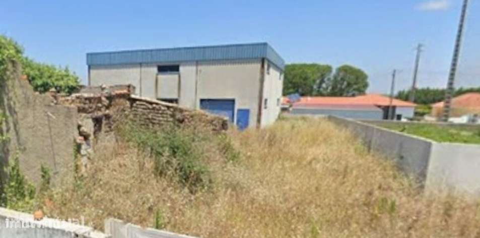 Hangar em  Monte Real e Carvide de  292,00m2 - Grande imagem: 5/6