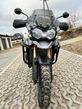 Triumph Tiger - 11