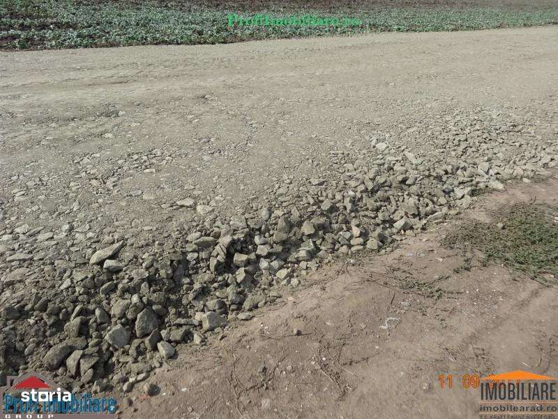 Vindem locuri de casa 540 sau 640mp in Zimand Cuz 7 km de Arad - Imagine principală: 5/14