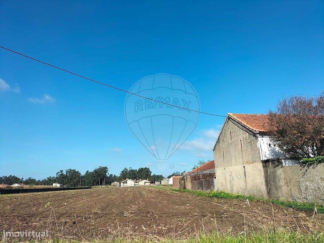 Terreno  para venda - Grande imagem: 4/6