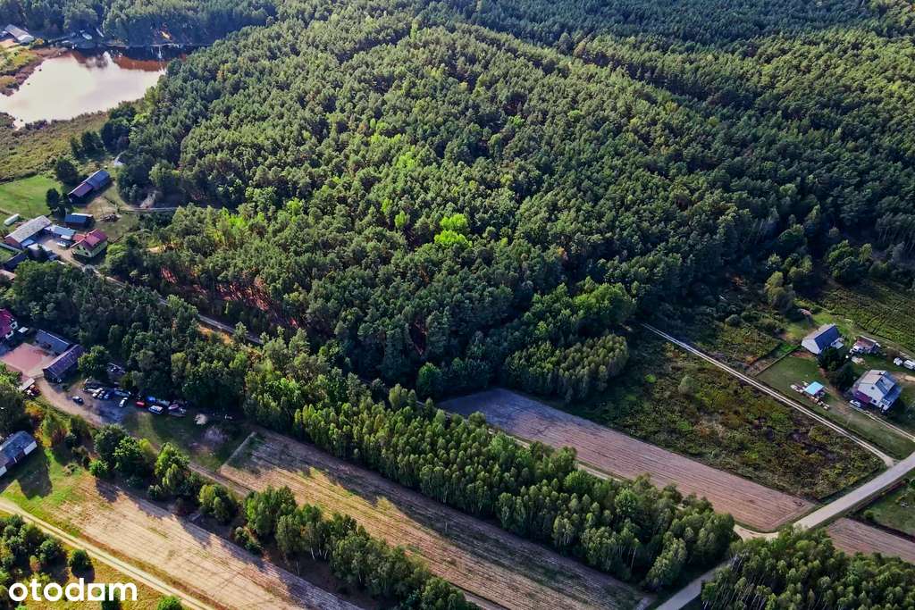 ✅ Sprawdź >>> Działka rekreacyjna (las) - 1602m2 ✅ - Pełny obrazek: 2/6