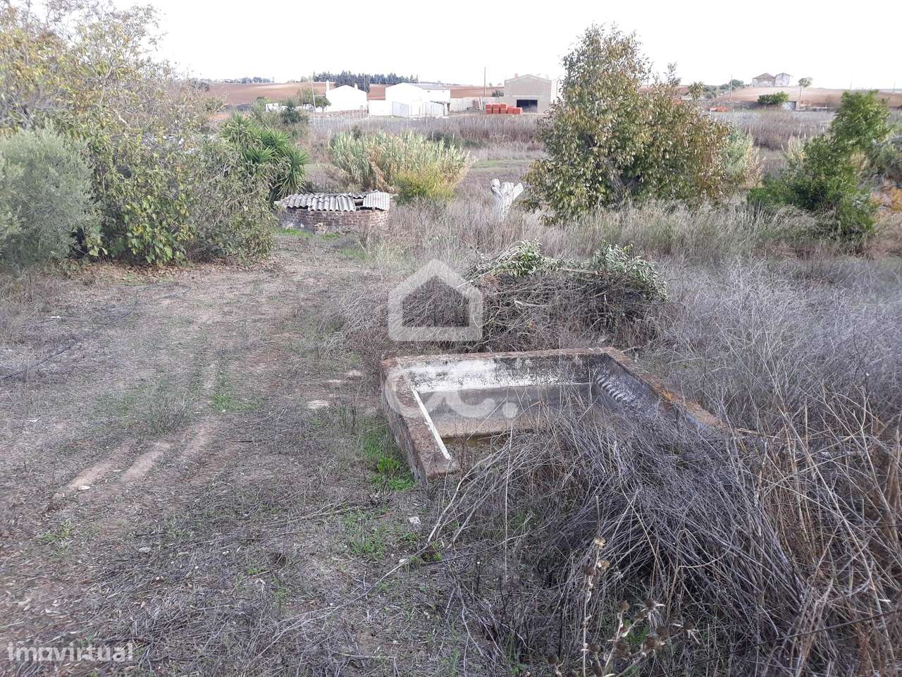 Quinta  em Beringel-18