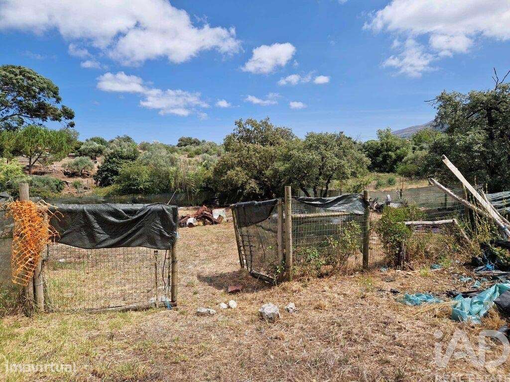 Terreno em Alvados e Alcaria de 3040,00 m2 - Grande imagem: 5/21