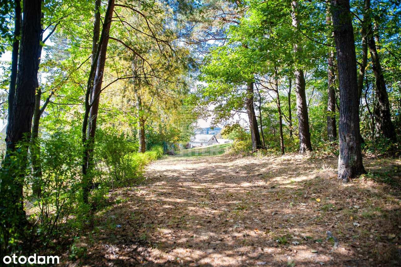 100 m2 dom w lesie... - Pełny obrazek: 5/20