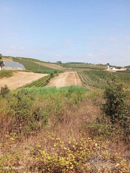 Terreno agrícola - Grande imagem: 4/6