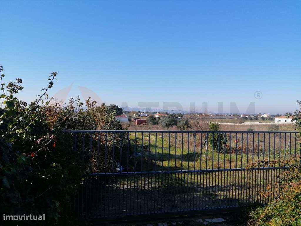 Terreno Rústico, com 15.000 m2, Palmela - Grande imagem: 3/4