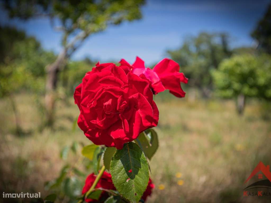 Herdade do Barranco-21