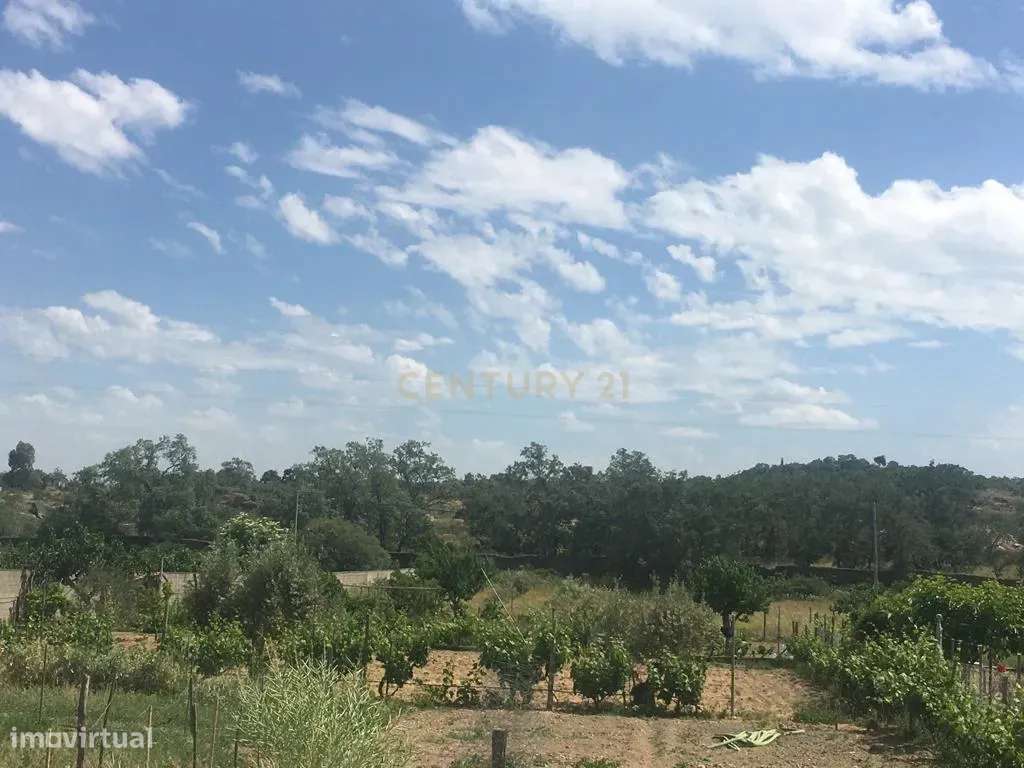 Terreno Rústico em Castelo Branco com Jardim e Vista Campestre - Grande imagem: 4/8