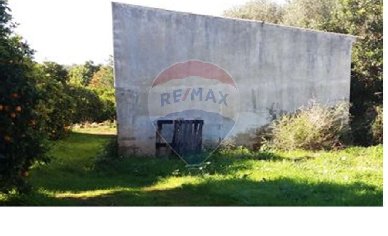 Terreno  para venda - Grande imagem: 5/16