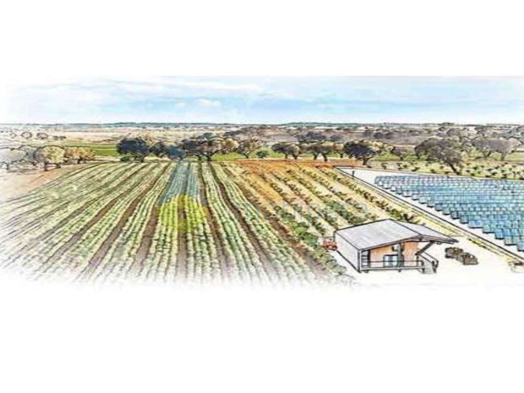Terreno com PIP Aprovado para Construção Turística-5