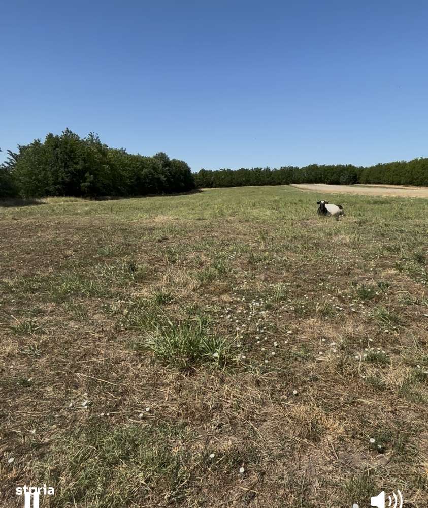 Vând Fermă. Agricolă aproximativ 8 Ha - Imagine principală: 4/5