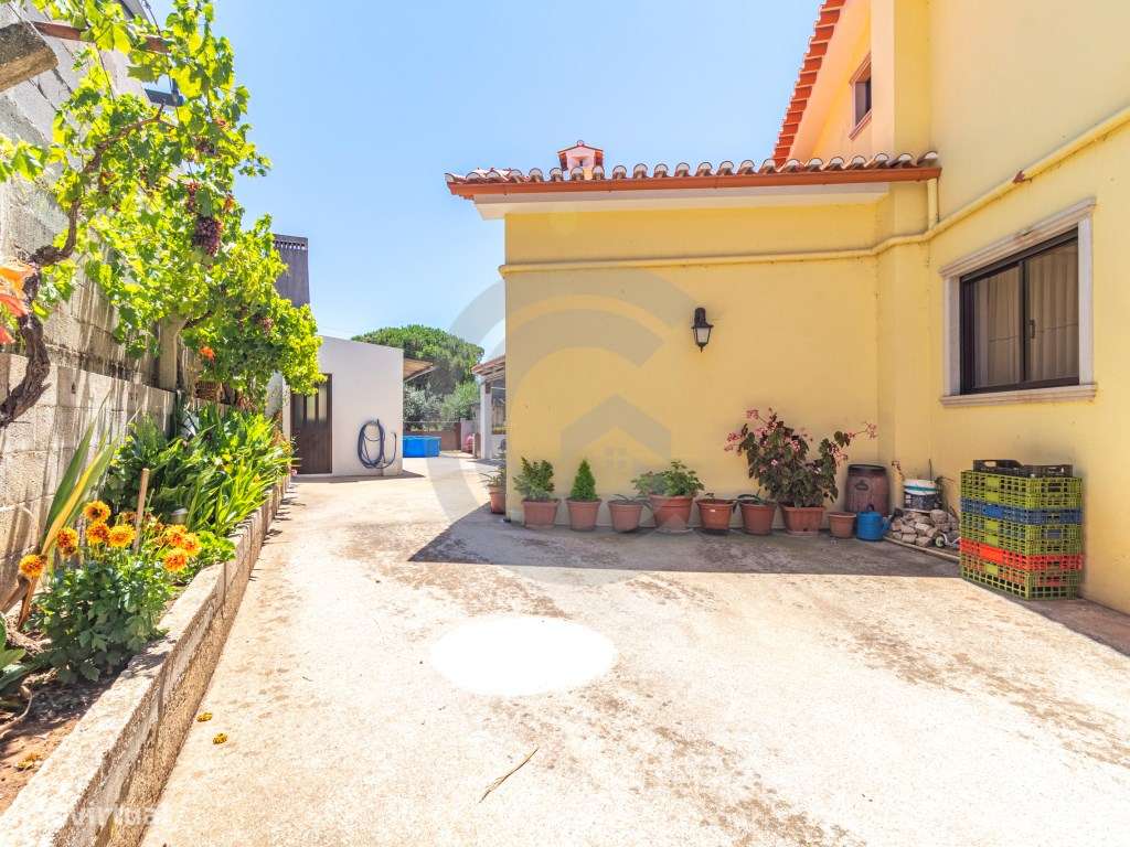 Fantástica Moradia T5 em Minde - Grande imagem: 5/12