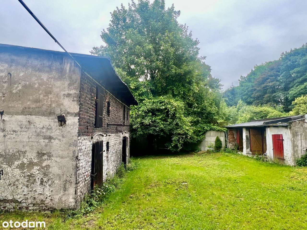 Sprzedam kamienicę w Świętochłowicach-3