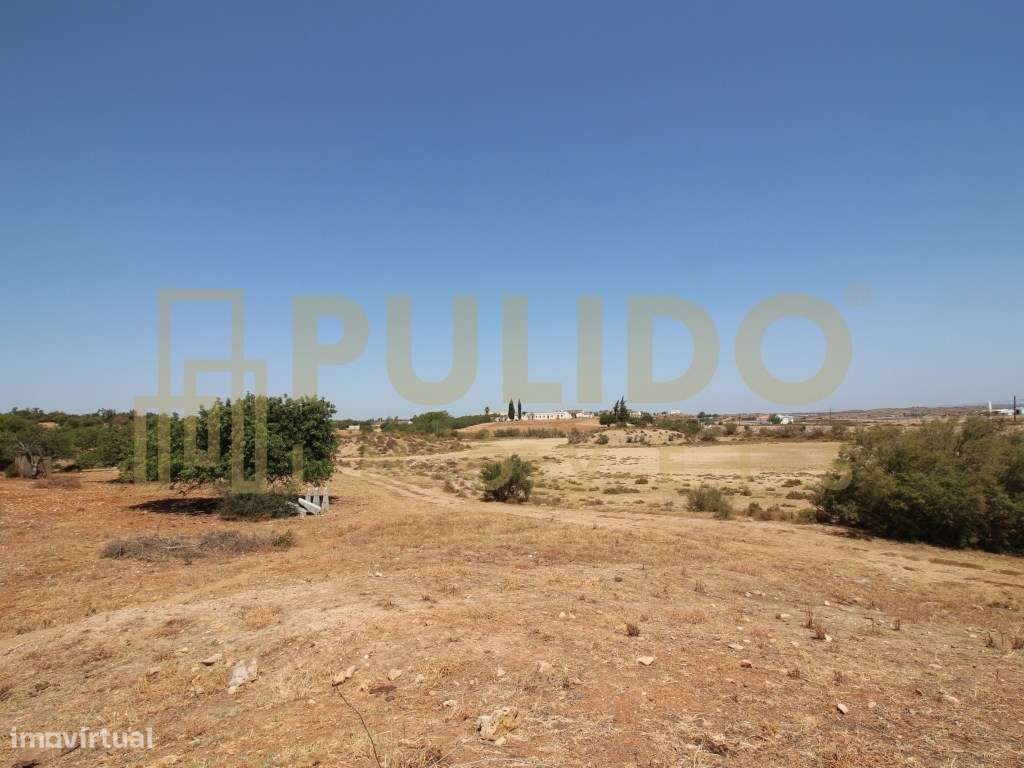 Quinta em Castro Marim a 5km da praia-8