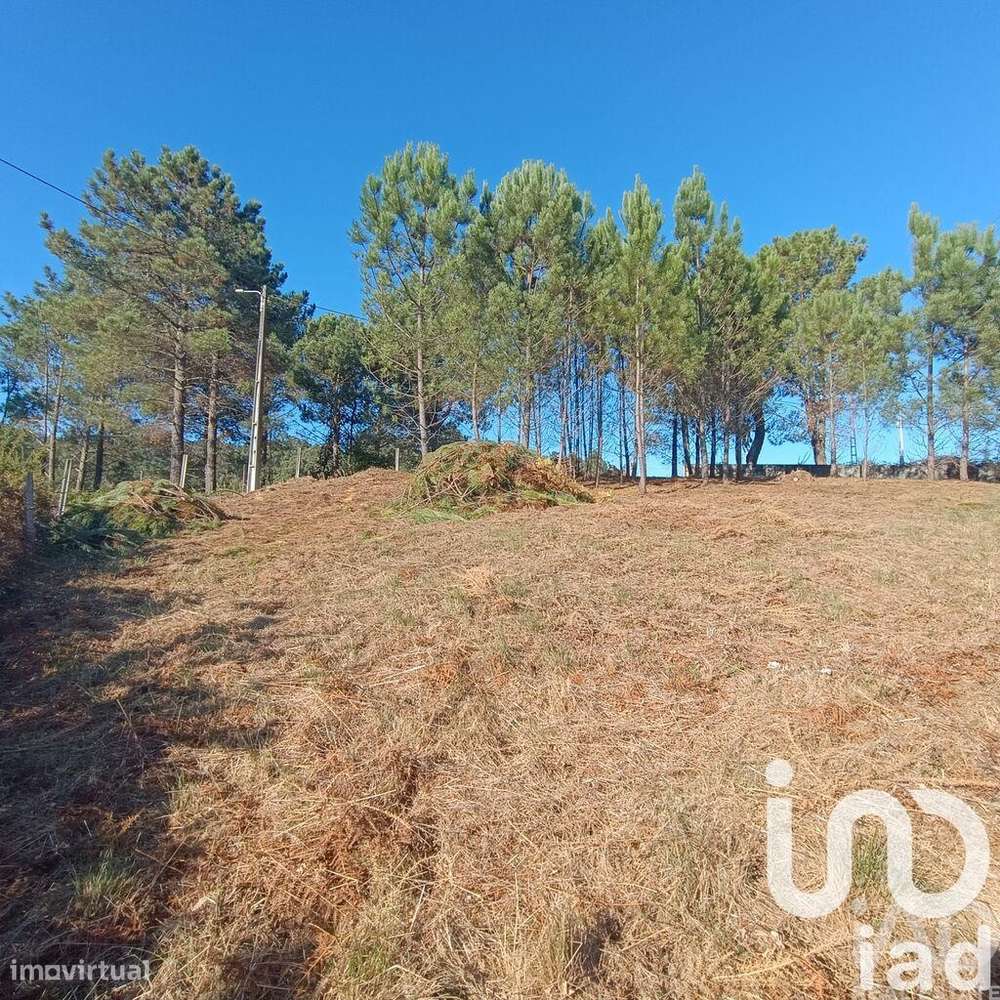 Terreno para construção em Reboreda e Nogueira - Grande imagem: 4/13
