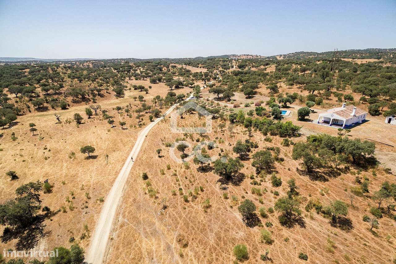 Terreno rústico com 13250 m2 | Terena - Grande imagem: 2/12