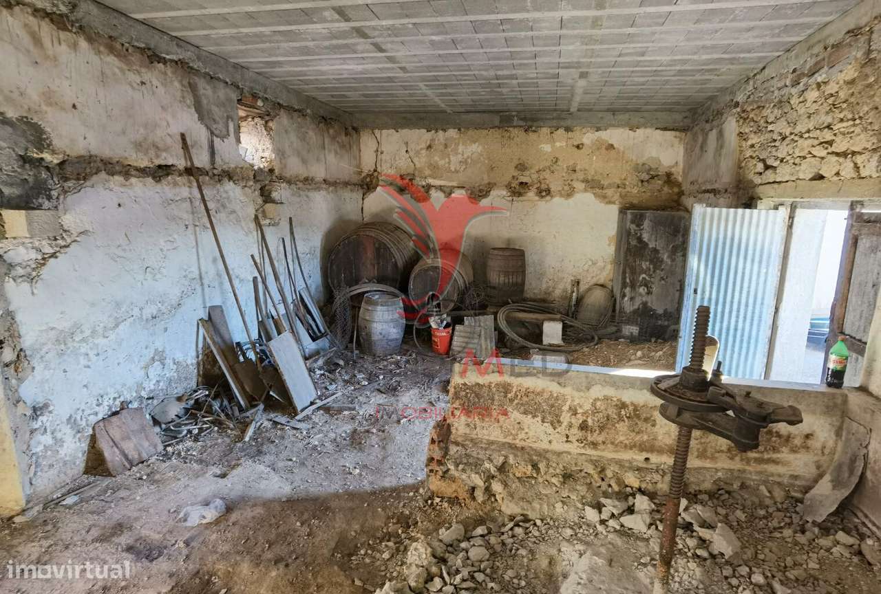 Excelente oportunidade de negócio, pavilhão para seu projeto agrícola. - Grande imagem: 5/23