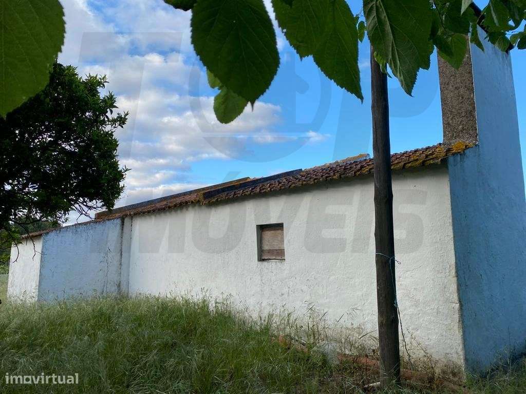 Terreno urbano para loteamento com 10720m2 -Foros de Salvaterra - 2...-6