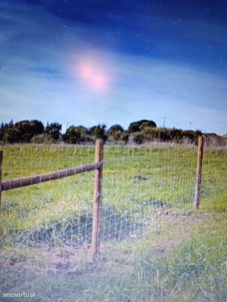 Terreno Rustico com 5010m2 em Casal de Palhais - Grande imagem: 4/4